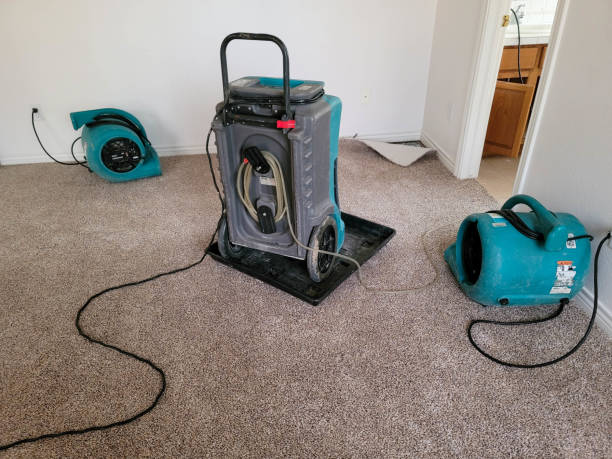 Best Water damage restoration near me  in Troy, IL