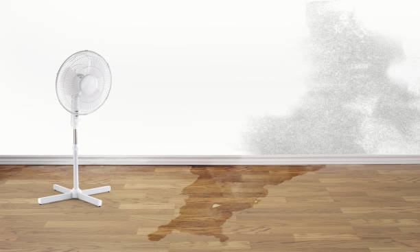 Best Flooded house restoration  in Troy, IL