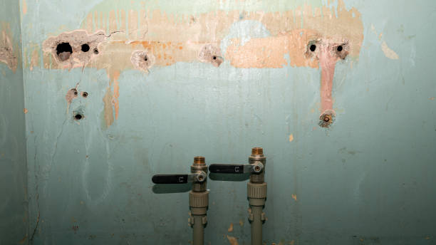 Best Commercial water damage restoration  in Troy, IL
