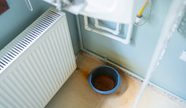 Best Water damage restoration near me  in Troy, IL