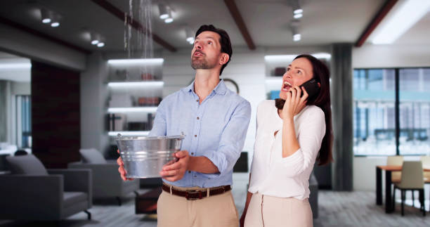 Best 24/7 water damage repair  in Troy, IL